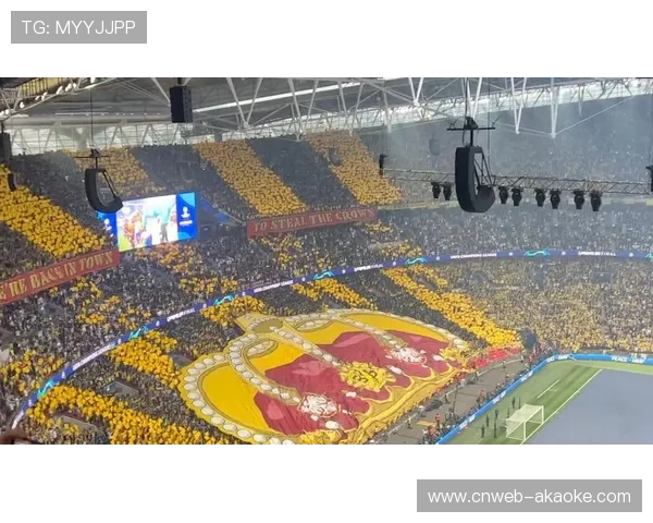 多特蒙德欧冠主题Tifo震撼全场荣膺本赛季最佳视觉盛宴