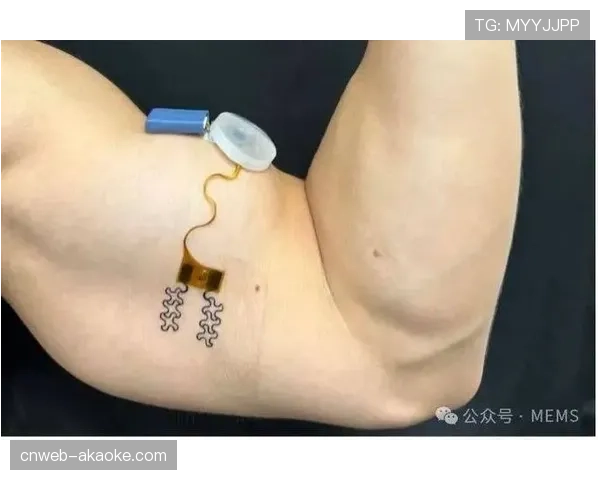 体育科技公司发布新型可穿戴设备，用于实时监测后卫线移动同步率